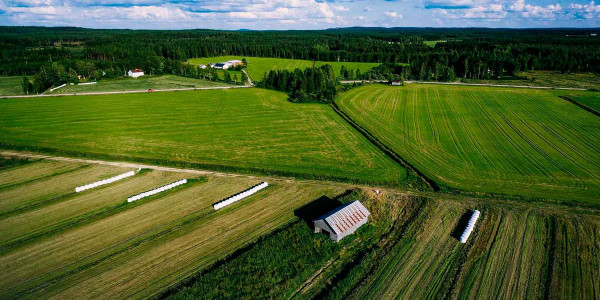 Estudios de suelos agrícolas en la Selva