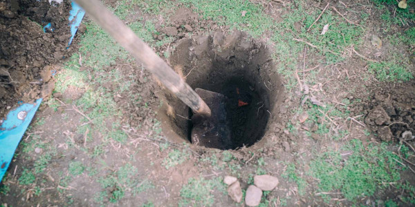 Ensayos de Penetración dinámica en la Selva
